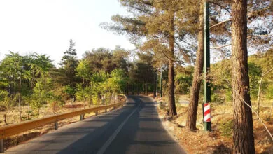 5154959.jpg
