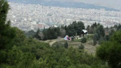 تهران اجتماعی