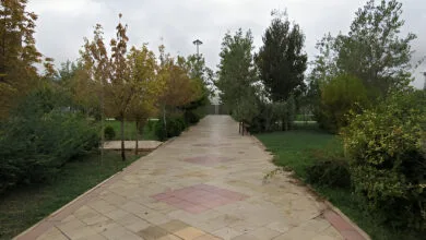 تهران اجتماعی