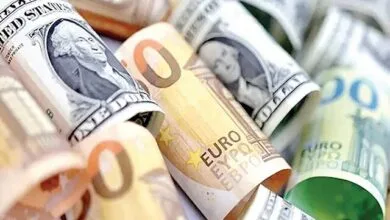 سهم ۱۱ میلیارد یورویی برای واردات کالاهای اساسی و دارو سهم ۱۱ میلیارد یورویی برای واردات کالاهای اساسی و دارو