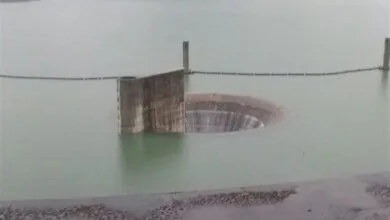5159103.jpg