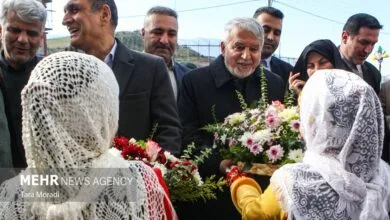 صالحی امیری: نوروز، سرمایهای برای تعاملات بینالمللی است صالحی امیری: نوروز، سرمایهای برای تعاملات بینالمللی است