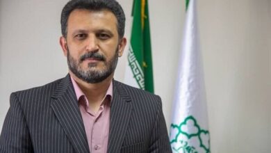 رویداد تصویرنگاری شاهنامه و نقش آن در احیای هنرهای ایرانی رویداد تصویرنگاری شاهنامه و نقش آن در احیای هنرهای ایرانی