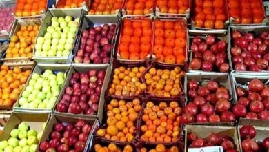 توزیع میوه شب عید تهرانی‌ها از امروز آغاز شد