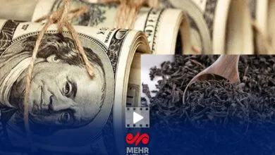 جزئیات بدهی بانکی و پرداخت رشوه متهم پرونده چای دبش