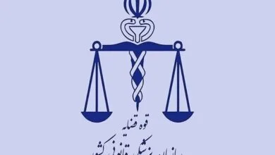 راه اندازی دانشکده علوم پزشکی قانونی، تحولی بزرگ است راه اندازی دانشکده علوم پزشکی قانونی، تحولی بزرگ است