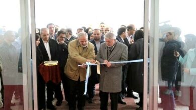 افتتاح نمایشگاه «ستایش رستن» نمایشی از پیوند انسان و طبیعت
