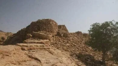 تهران اجتماعی