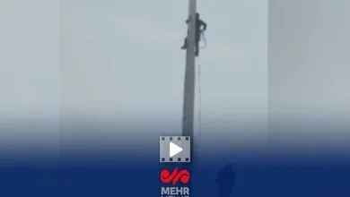 5412267.jpg