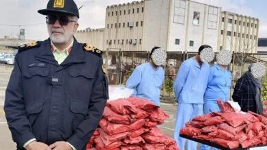 کشف ۱۹۰ کیلوگرم مواد مخدر شیشه در فارس