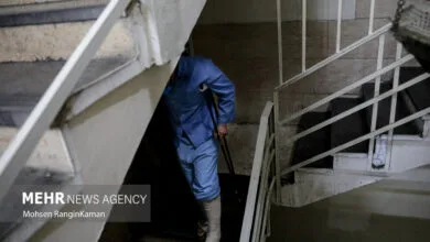 دستگیری ۲ شرور پایتخت
