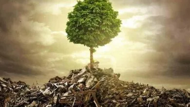 فرهنگ سازی و برخورد قضایی راه حل کاهش تخلفات زیست محیطی فرهنگ سازی و برخورد قضایی راه حل کاهش تخلفات زیست محیطی