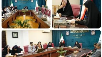 شناسایی الگوهای موفق برای توسعه اشتغال پایدار زنان شناسایی الگوهای موفق برای توسعه اشتغال پایدار زنان