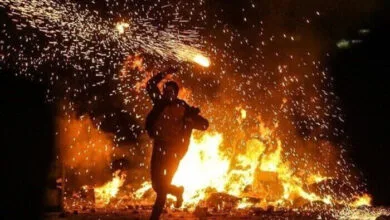 جلوگیری از تداوم آتشسوزی در پارک قیطریه توسط آتش نشانی جلوگیری از تداوم آتشسوزی در پارک قیطریه توسط آتش نشانی