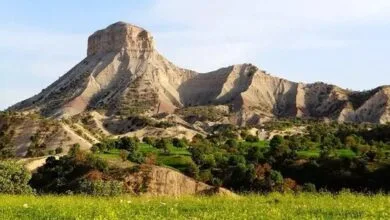 تهران اجتماعی