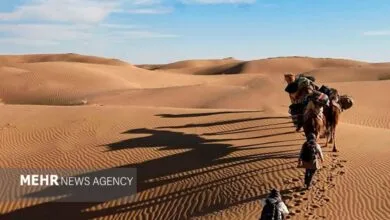 5435716.jpg