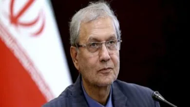 دولت مترصد تسهیلگری برای توانمندسازی سازمانهای مردم نهاد است دولت مترصد تسهیلگری برای توانمندسازی سازمانهای مردم نهاد است