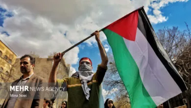 همه دنیا برای حمایت از مردم فلسطین و غزه به میدان آمدند