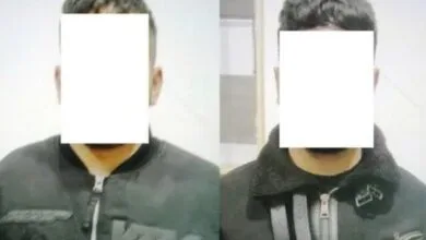 5441800.jpg