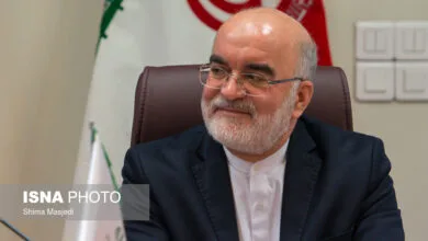 بسیاری از ایرانیان خارج از کشور تمایل دارند به کشور بازگردند