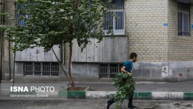 تهران اجتماعی