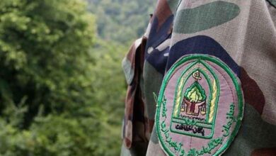 بازداشت ۴ ضارب جنگلبانی نور
