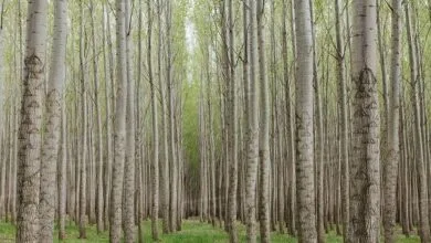 تهران اجتماعی