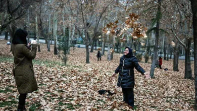 امنیت زنان در پارکها؛ راهحلهایی برای حضور بیدغدغه امنیت زنان در پارکها؛ راهحلهایی برای حضور بیدغدغه