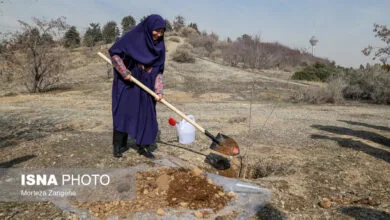 مراسم روز درختکاری با حضور رییس سازمان محیط زیست