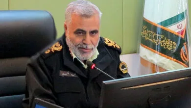 63381843.jpg