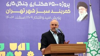 قالیباف: جدیتی که در حفظ یک نهال وجود دارد باید در امید دادن به جوانان