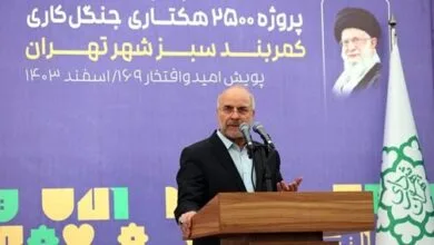 قالیباف: جدیتی که در حفظ یک نهال وجود دارد باید در امید دادن به جوانان نیز باشد