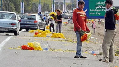 توقف در حاشیه بزرگراهها برای خرید گل خطرناک است