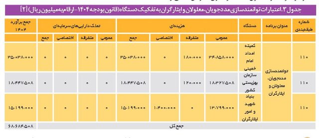 رشد ۸۱ درصدی اعتبارات قانون حمایت از حقوق معلولان در لایحه بودجه ۱۴۰۴/ فاصله زیاد با اعتبارات مورد نیاز