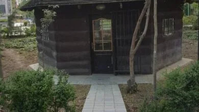 تهران اجتماعی