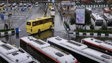 4416193.jpg