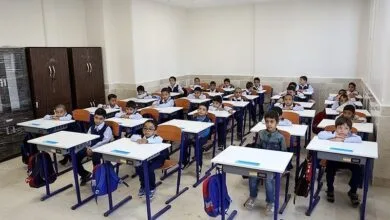 4677529.jpg