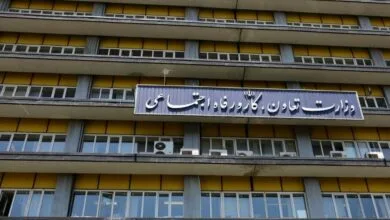 4719232.jpg