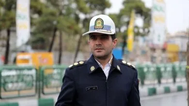4941121.jpg
