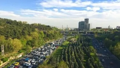 4972650.jpg