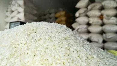 این برنج را نخرید | عرضه آن را در بازار گزارش دهید