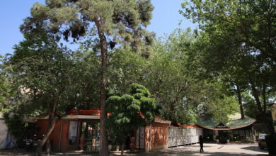 تماشای هنرنمایی خلیل عقاب در سه‌راه سلسبیل