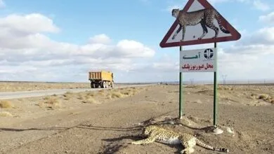 در این جادهها آرام برانید در این جادهها آرام برانید