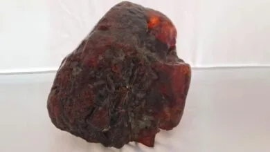 سنگی که ۳۰ سال در خانه بود، گنج یک میلیون دلاری از آب درآمد + عکس