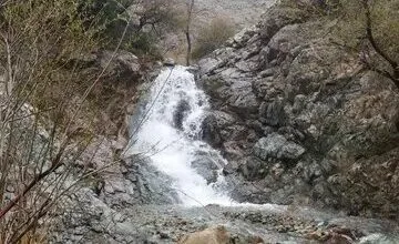 تهران اجتماعی