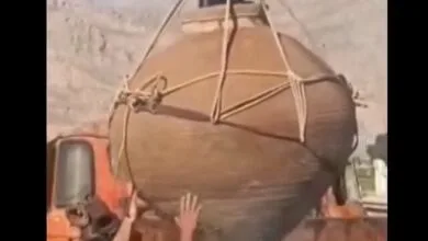 تهران اجتماعی
