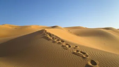 دریاچهای با عمق ۴۲ متر در بیابانهای عربستان! دریاچهای با عمق ۴۲ متر در بیابانهای عربستان!