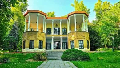 تهران اجتماعی