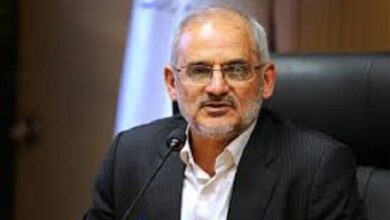 حاجی میرزایی:صرف داشتن برنامه بدون اتکا به تفکر پشتیبان، راهگشا نیست