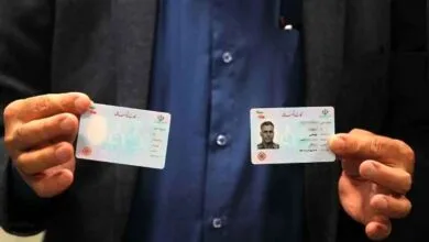 5299761.jpg